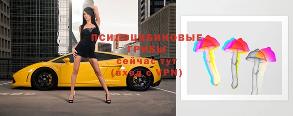 соль ск Горно-Алтайск