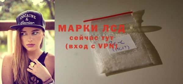 прущий лед Горняк