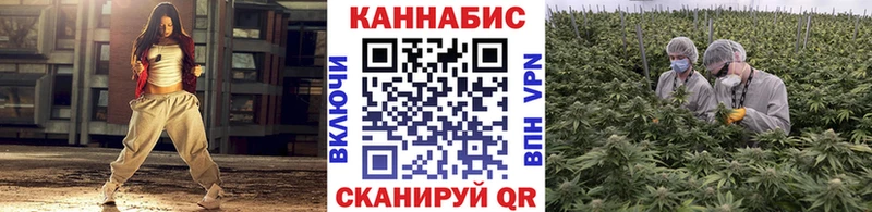 гидра онион  Петровск-Забайкальский  Конопля конопля 